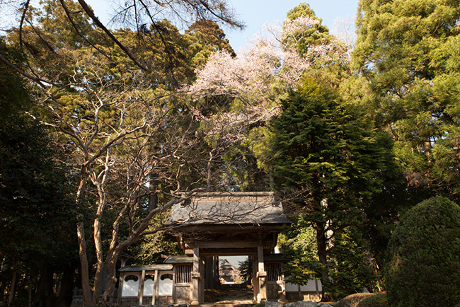 写真：普門寺